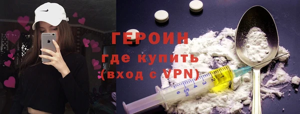 гашик Алексин