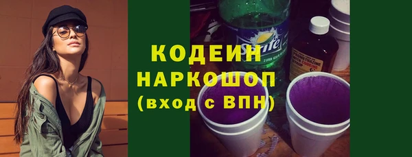 хмурый Алзамай