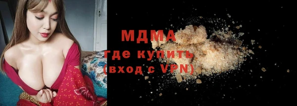 гашик Алексин
