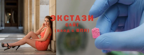 гашик Алексин