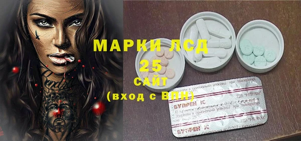 гашик Алексин