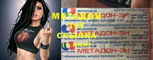 гашик Алексин