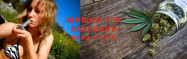 гашик Алексин