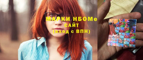 хмурый Алзамай