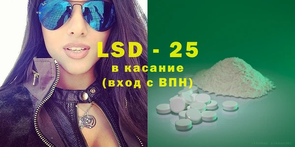 хмурый Алзамай