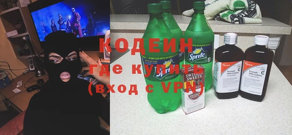 хмурый Алзамай
