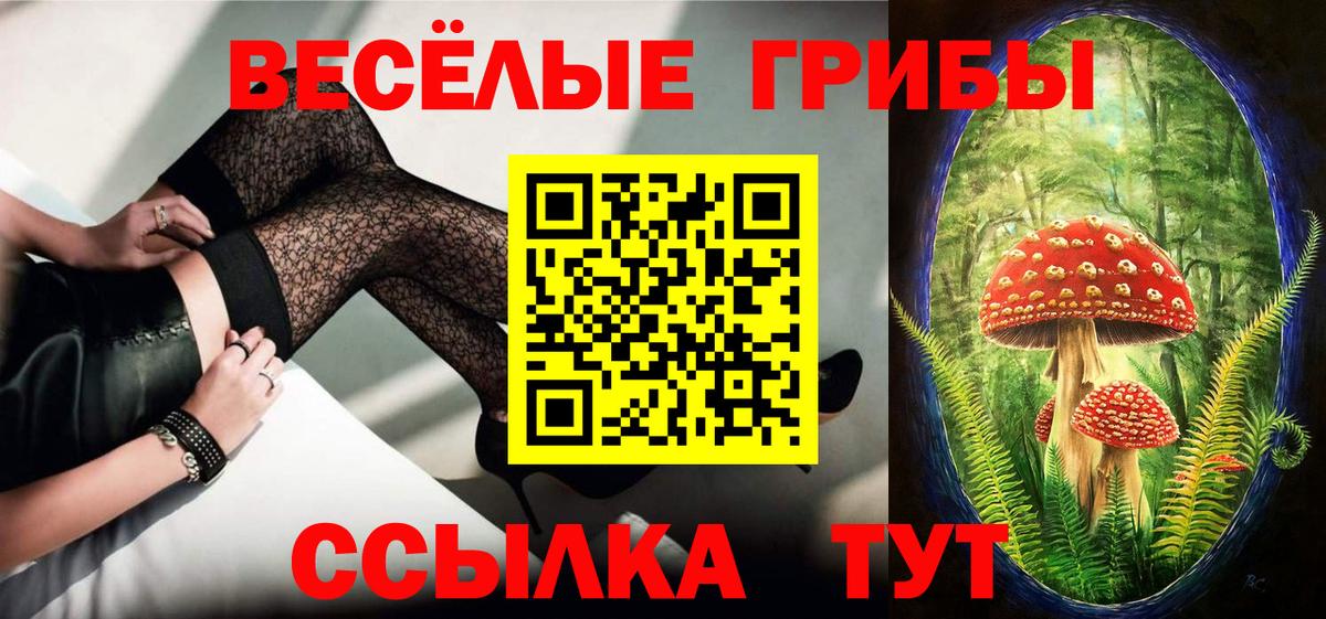 закладки  Псилоцибиновые грибы Psilocybine cubensis  Вход с VPN  Челябинск 